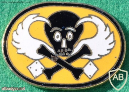 7th Ranger Battalion img28070