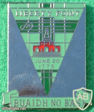 300th Special Forces Detachment img28103