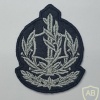 דרגת רב סמל בכיר (רס"ב) ישנה - חיל האוויר img28207