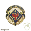 1st Brigade, 4th Infantry Division Special Troops Battalion