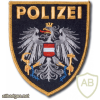 Federal Police arm patch