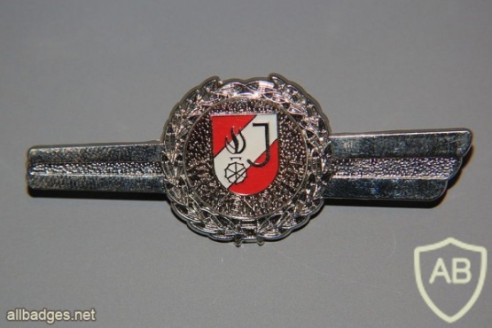 Austria Young Fire brigade qualification test badge, Silver img28371