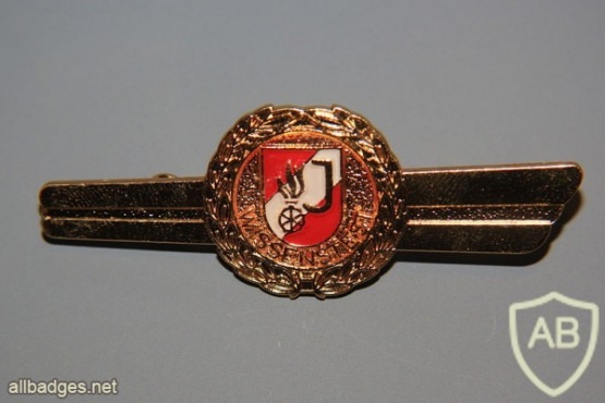 Austria Young Fire brigade qualification test badge, Gold img28372