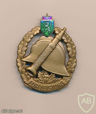 Austria-Styria Fire brigade brevet badge, Bronze img28376