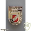 Austria Young Fire brigade knowledge test badge, Silver img28374
