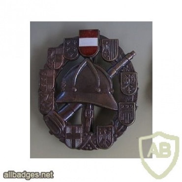 Austria Fire brigade brevet badge, Bronze img28377
