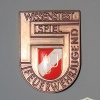 Austria Young Fire brigade knowledge test badge, Bronze