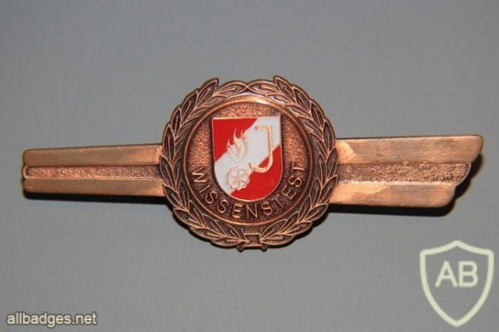 Austria Young Fire brigade qualification test badge, Bronze img28370