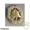 Austria Fire brigade brevet badge, Gold