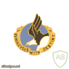 101st Airborne Division DUI crest img28547