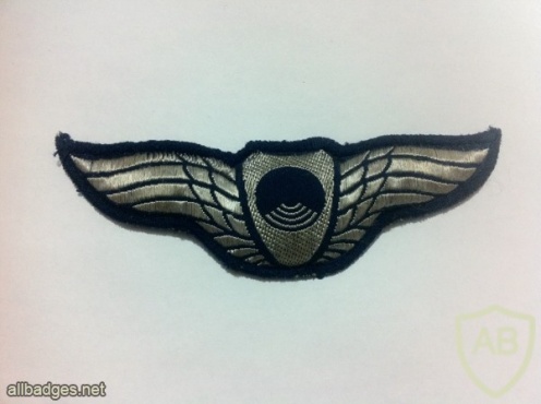 Hawk eye wings ( Air explorer ) img28553