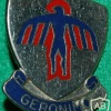 501st Parachute Infantry Regiment img28709
