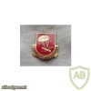 377th Airborne Field Artillery battalion