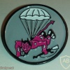 508TH PARACHUTE INFANTRY REGIMENT, WWII img28740