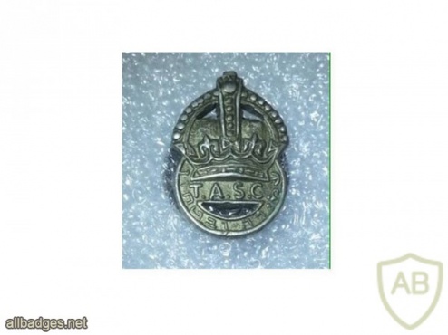 סמל צווארון משטרת המנדט img28896