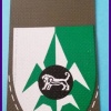 Intelligence directorate central command