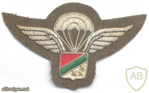 KATANGA Gendarmerie parachute wings, 1960s, bullion, replica? img29135
