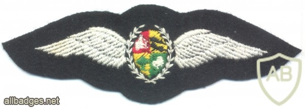 SOUTH AFRICA SADF Air Force Pilot wings, 1970s-1980s, cloth img29133