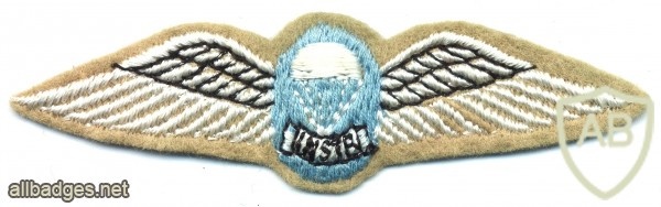 SOUTH AFRICA Parachute Instructor wings, Static line, 1970s, type 1, cloth img29131