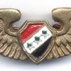 SYRIA Air Force Pilot qualification wings, 1963-1972 img29146