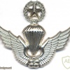 SOUTH KOREA Army Master Parachute qualification wings