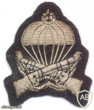 TURKEY Army Parachutist qualification badge, bullion img29126