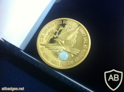 מדליית הוקרה מטעם האלוף אמיר אשל מפקד חיל האוויר img29151