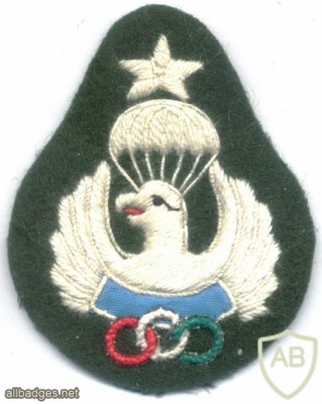 IRAN Army Freefall Parachute qualification badge, cloth, post Shah period img29127