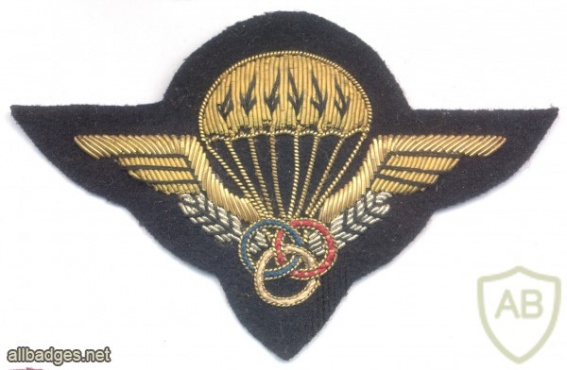 FRANCE Army Parachute Instructor qualification badge, bullion img29145