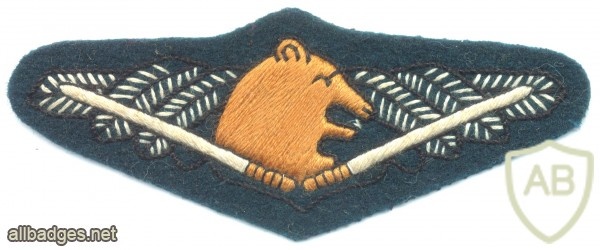 FINLAND Border Guard Long Range Reconnaissance (Sissi) qualification badge, cloth img29183