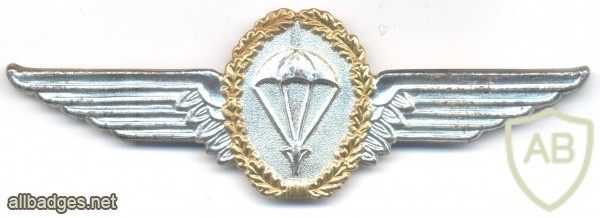 WEST GERMANY Bundeswehr - Army Parachutist wings, Master, 1966-1972 img29169