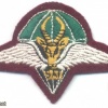 SOUTH AFRICA SADF 1 Parachute Battalion beret badge, type 1, 1969-1986