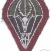 SOUTH AFRICA SADF 1 Parachute Battalion beret badge, for non-parachute trained personnel