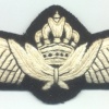 JORDAN Royal Jordanian Air Force Pilot wings, 1970s, cloth img29168