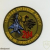 Ukraine Air Force 204th tactical aviation brigade patch, field uniform