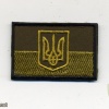 Ukraine Air Force field uniform patch