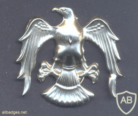TURKEY Air Force cap badge, metal img29478