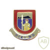 487th Field Artillery Regiment