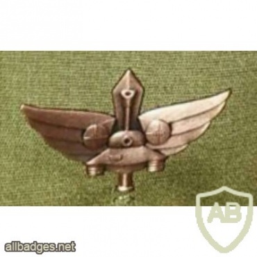 Auxiliary company warrior - Bronze ( "gardener" ) img29580