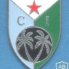 DJIBOUTI Army Commando Regiment (RCI) pocket badge