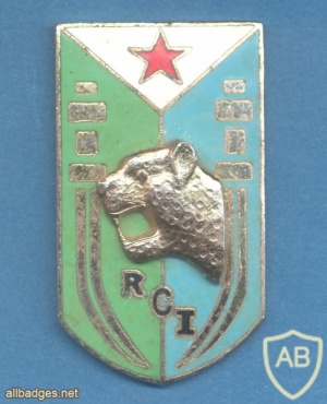 DJIBOUTI Army Commando Regiment ( RCI ) pocket badge img29530