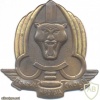 Zaire para commando beret badge