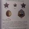 Insigne și însemne militare românești 1948-1989 img29639