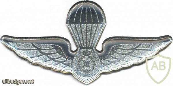 MALAYSIA Police Parachute wings img29681