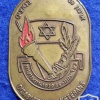 Organization of the Disabled in the War against the Nazis - Bronze Badge
