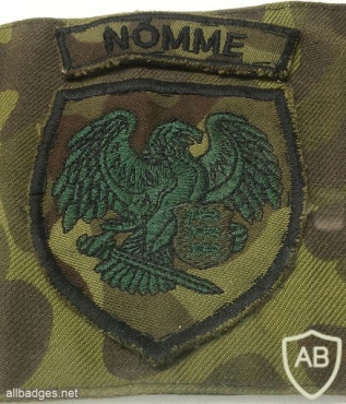 EDF Kaitseliit Tallinn brigade, Nõmme battalion arm patch, field uniform img30049