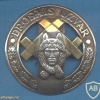Latvian Special Tasks Unit cap badge
