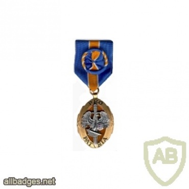 Kaitseliit Order of Merit, special merit class img30066