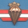 LATVIA Parchutist wings, III Class (bronze), wrong color, obsolete