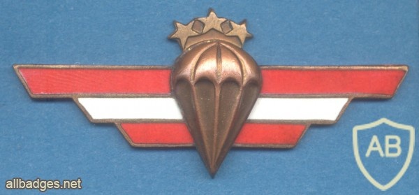 LATVIA Parchutist wings, III Class (bronze), wrong color, obsolete img30057